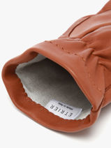 Herenhandschoenen Leder Etrier Bruin accessoires EGLO602G-vue-porte