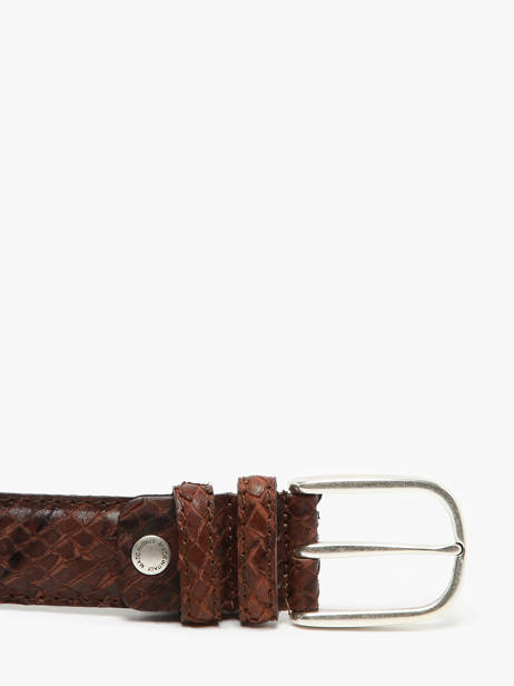 Riem Etrier Bruin bride EBRI711C ander zicht 2