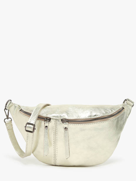 Heuptasje Milano Goud nine NI24062