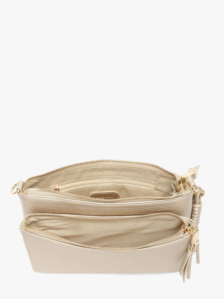 Cross Body Tas Estée Laurent david Goud ld bags 90 ander zicht 3