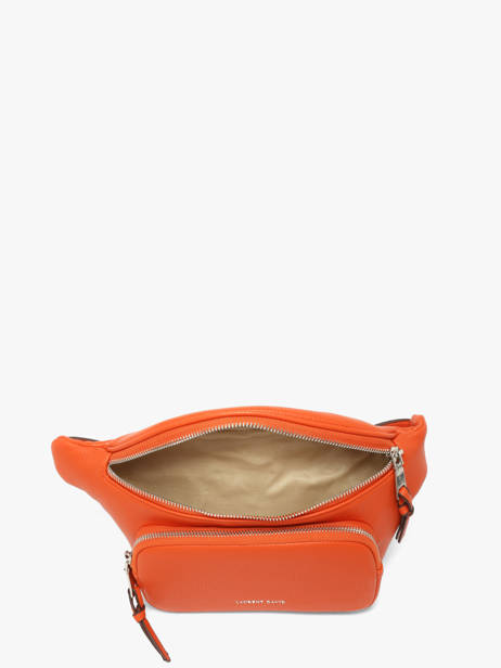 Heuptasje Estée Laurent david Oranje ld bags 93 ander zicht 3